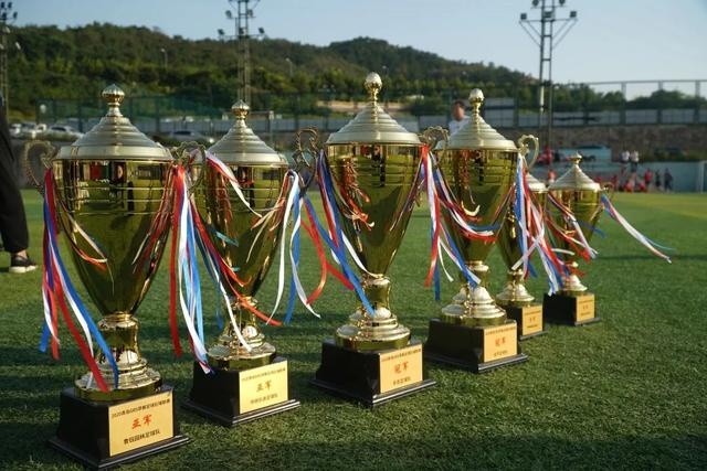 官方：谢菲联被美资企业收购 主教练怀尔德留任